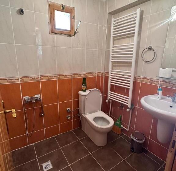 Demirkapı Brown House