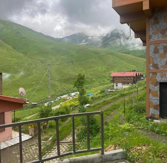 Demirkapı Brown House