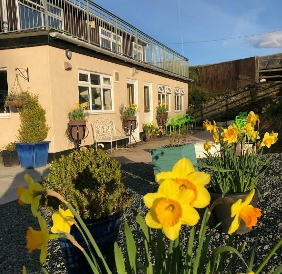 Общежитие The Living Energy Family Rooms