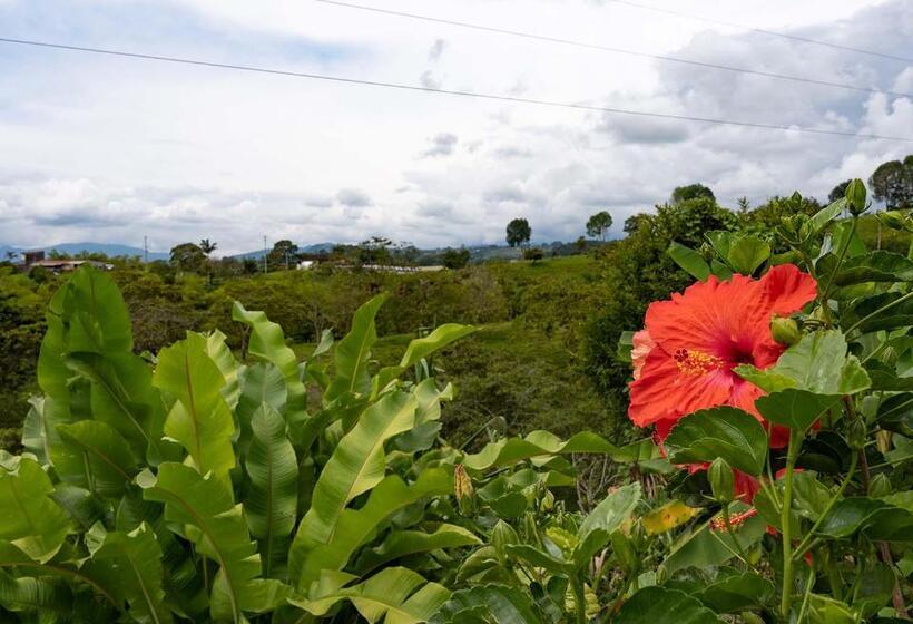 هاستل Rancho Chihuahua