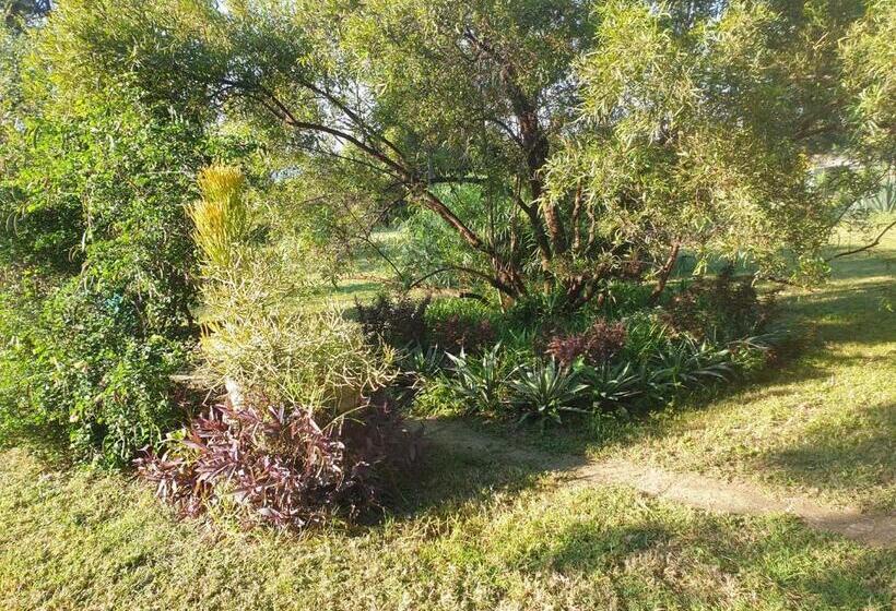 مبيت وإفطار Flower Farm Guest House / B+b