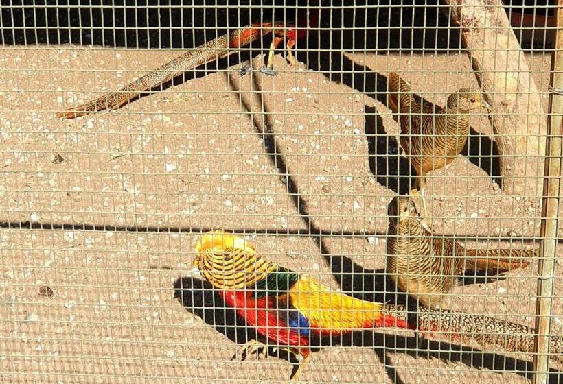 مبيت وإفطار Flower Farm Guest House / B+b