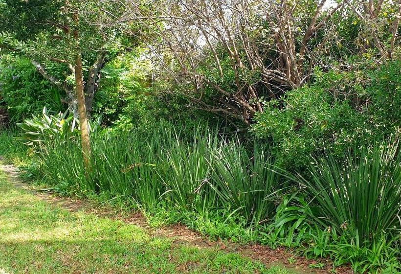 مبيت وإفطار Flower Farm Guest House / B+b