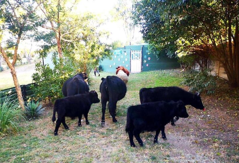 مبيت وإفطار Flower Farm Guest House / B+b