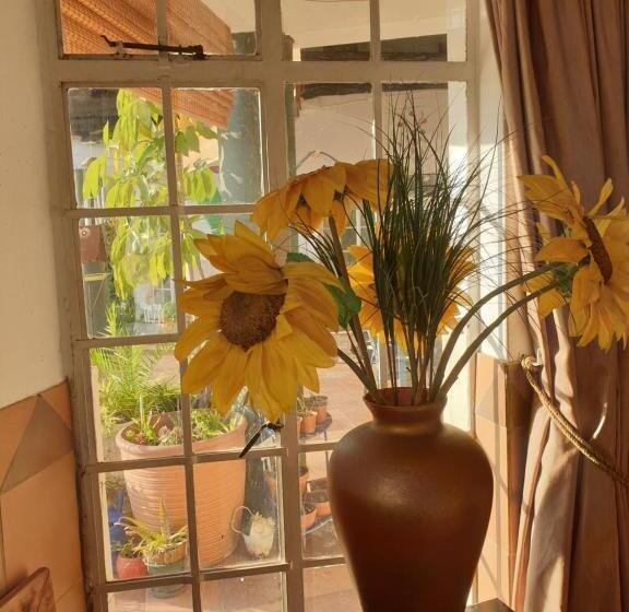 مبيت وإفطار Flower Farm Guest House / B+b