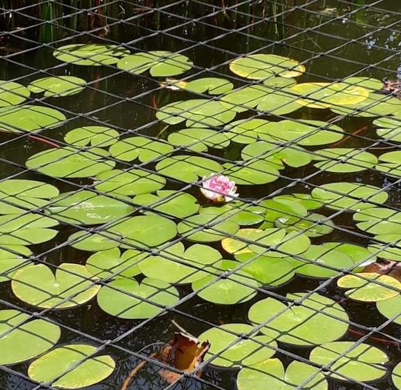 مبيت وإفطار Flower Farm Guest House / B+b