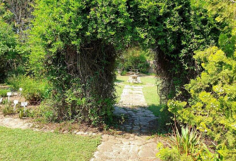 مبيت وإفطار Flower Farm Guest House / B+b