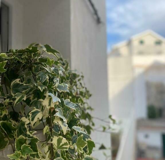 צימר Viesterooms