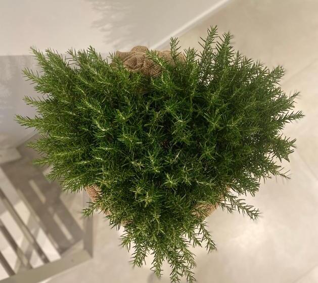 צימר Viesterooms