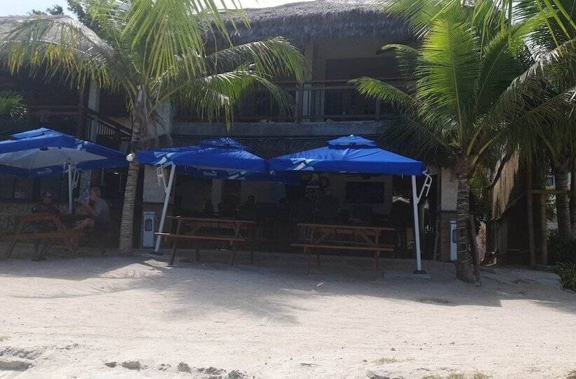 Birdwatchers Beachfront Hotel Panglao