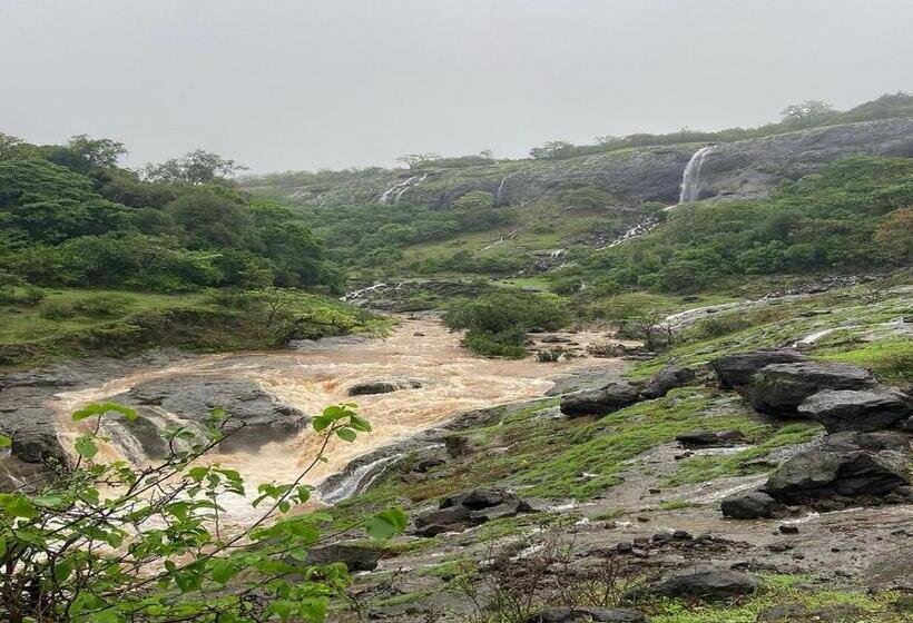 Euphoria Wild Life Resort & Camping Bhorgiri