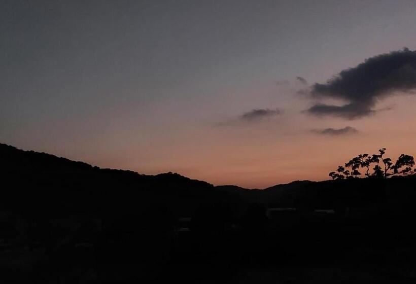 Euphoria Wild Life Resort & Camping Bhorgiri