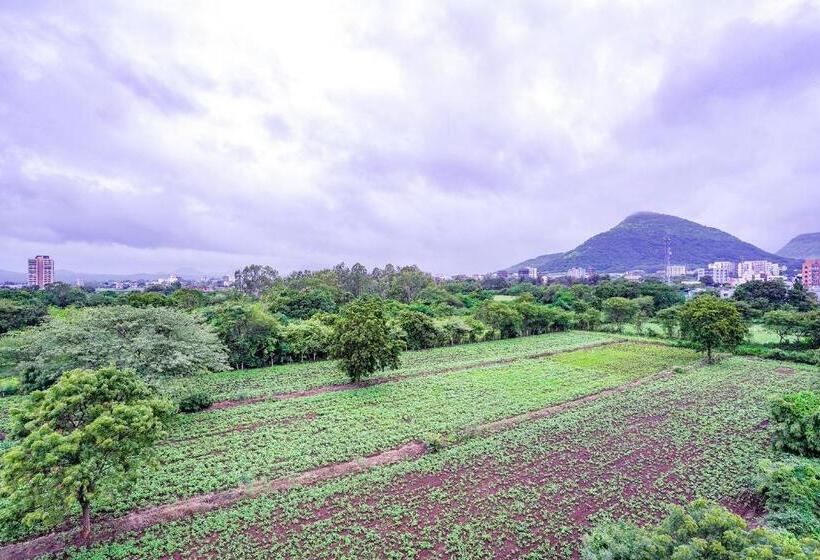 בית מלון כפרי Comfort Caves