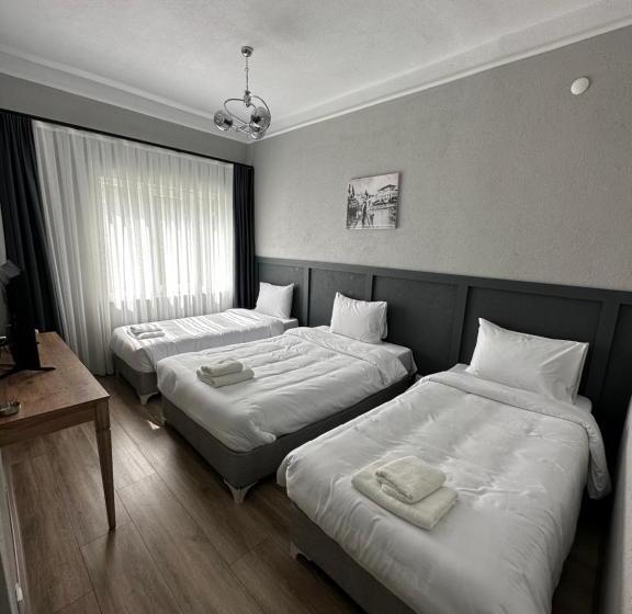 هتل Deri̇n Buti̇k