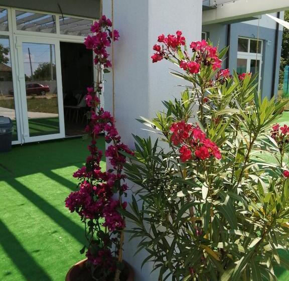 בית מלון כפרי Tina Guest House