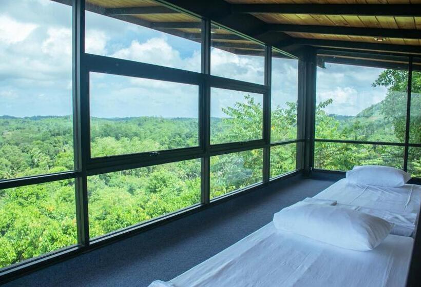 Отель Villa 1972