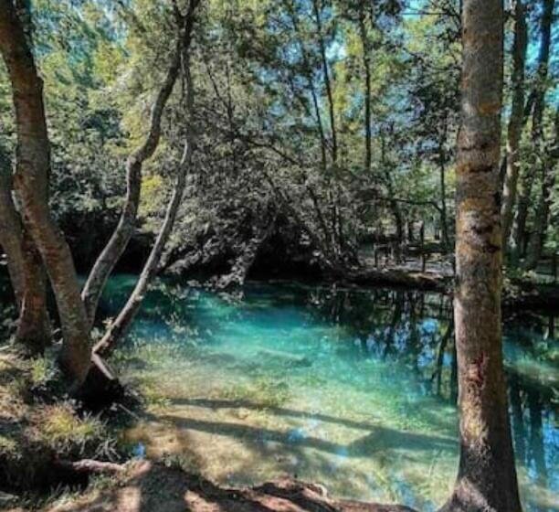 La Voûte, Nuit Insolite Au Château De Beaugency