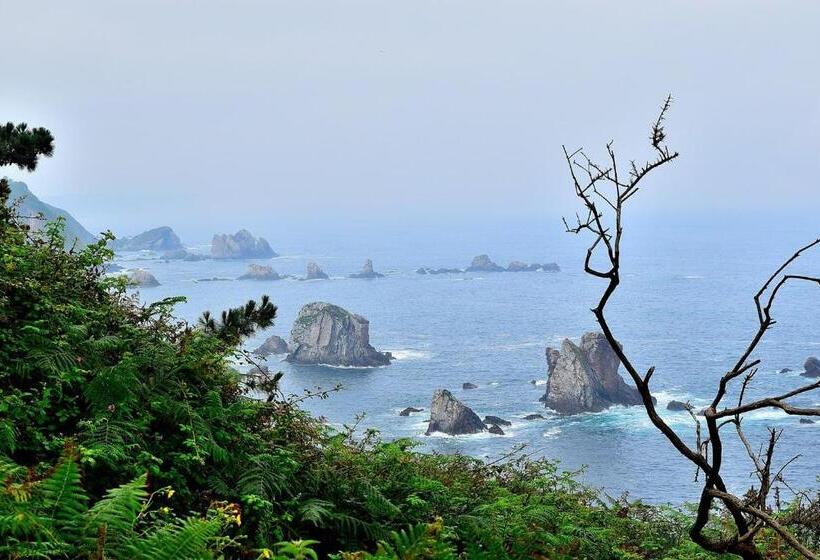 فندق صغير Casa De Peregrinos La Concha Ii