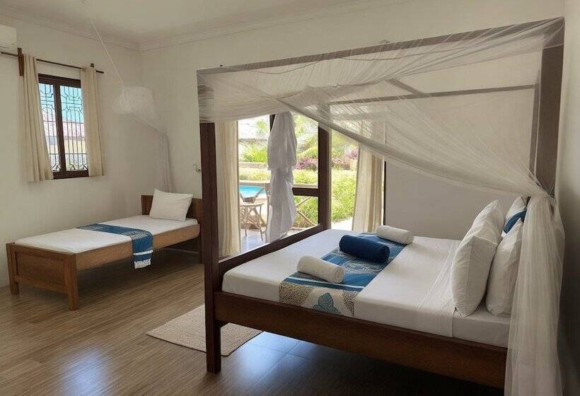 Bed and Breakfast Amber Lodge