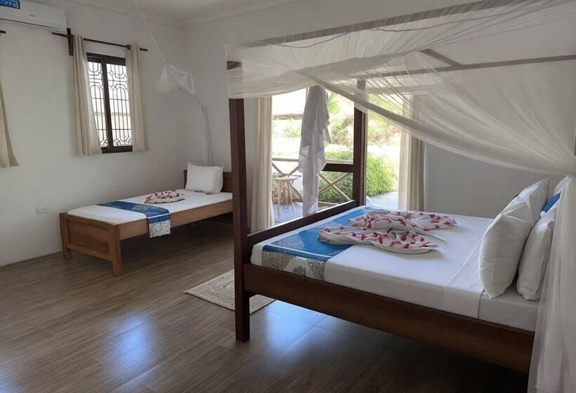 Bed and Breakfast Amber Lodge