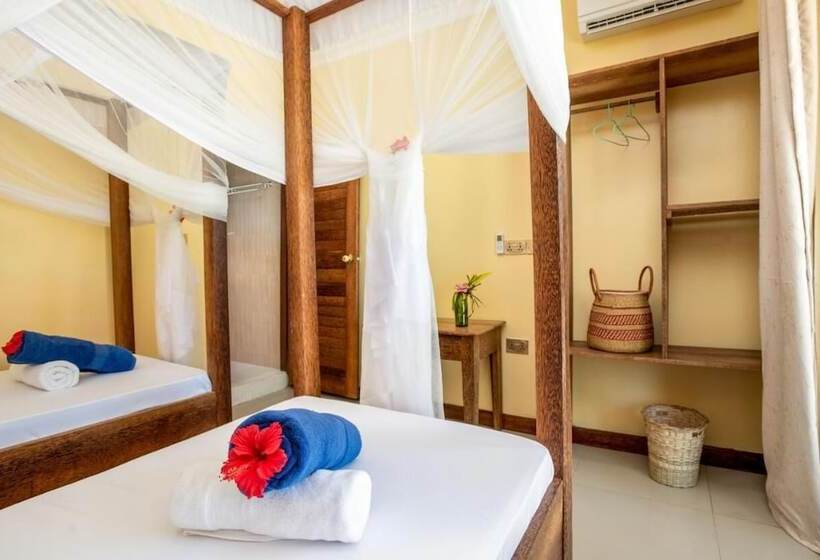 Bed and Breakfast Amber Lodge