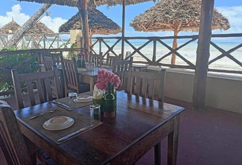 Bed and Breakfast Amber Lodge