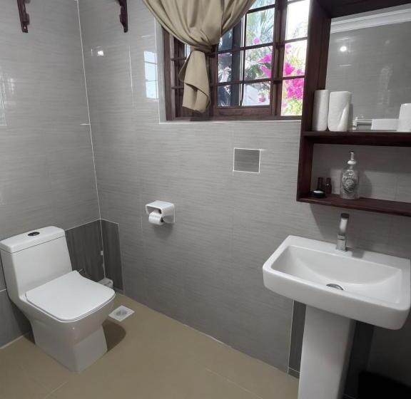 Bed and Breakfast Amber Lodge