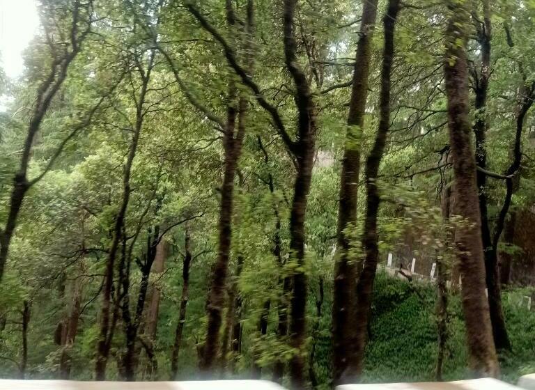 住宿加早餐 Kaisha Himalayan View