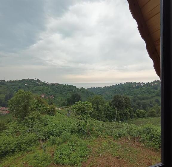 צימר Mira Bungalov