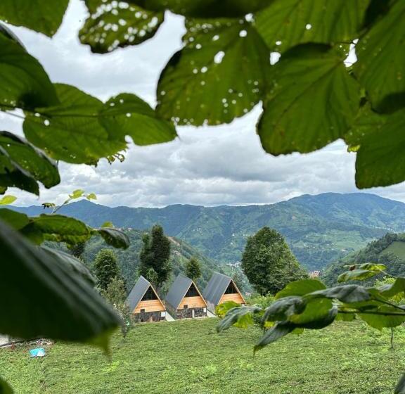 مبيت وإفطار Ri̇ze Sereni̇ty Bungalov