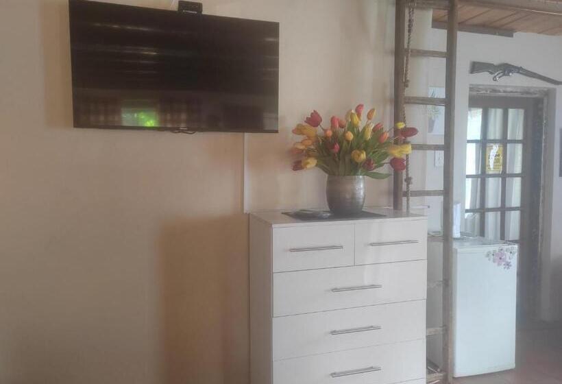 Heidelberg Central B&b