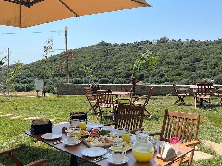 בית מלון כפרי Terra Gaia