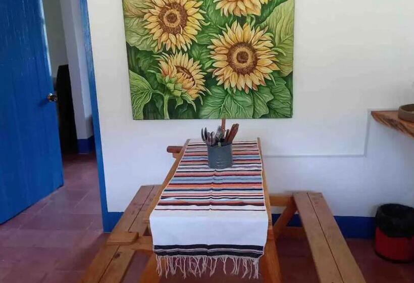 فندق Hacienda San Francisco