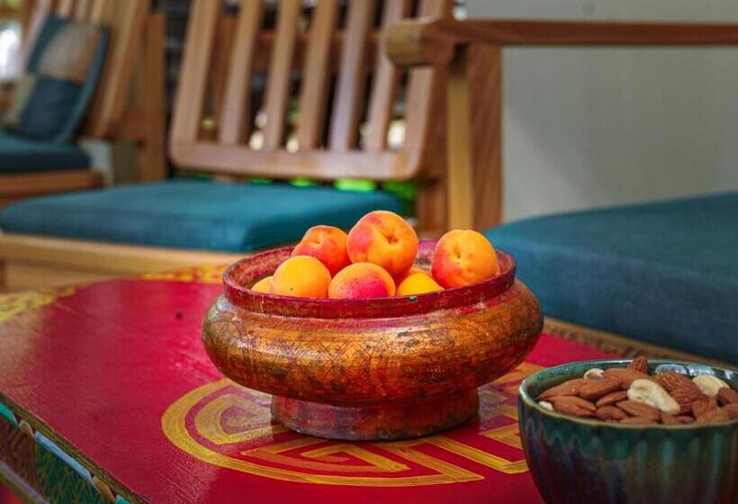 بنسيون De Khama