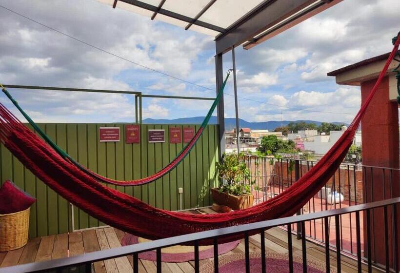 پانسیون Hostal Chocolate Calenda