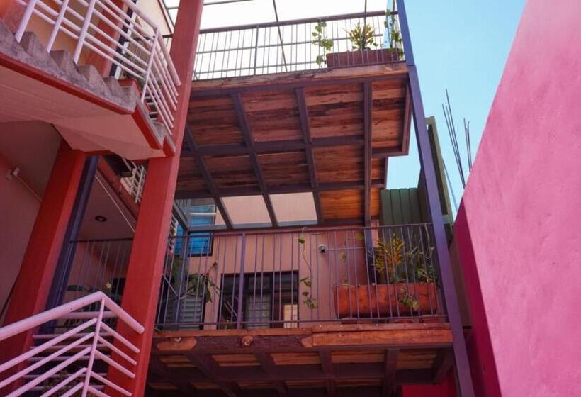 פנסיון Hostal Chocolate Calenda