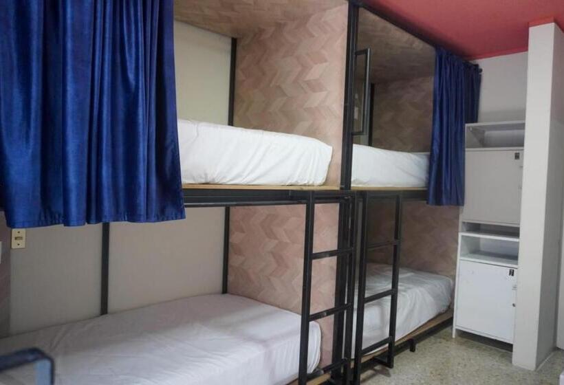 פנסיון Hostal Chocolate Calenda