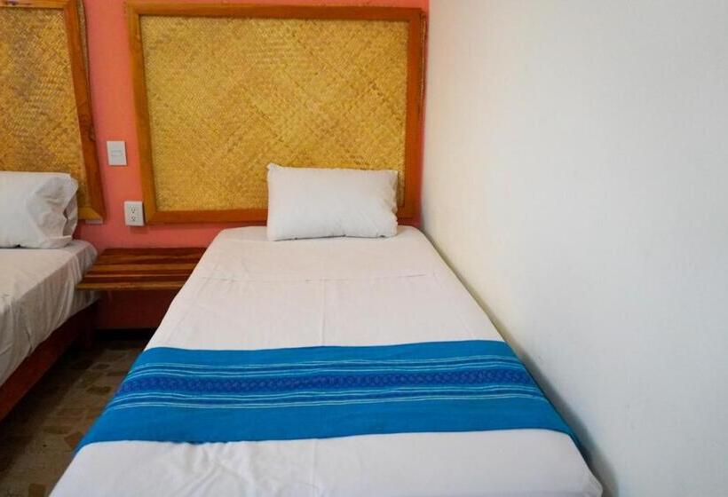 פנסיון Hostal Chocolate Calenda