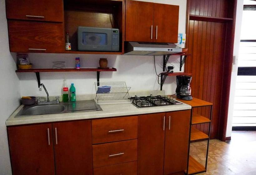 פנסיון Hostal Chocolate Calenda