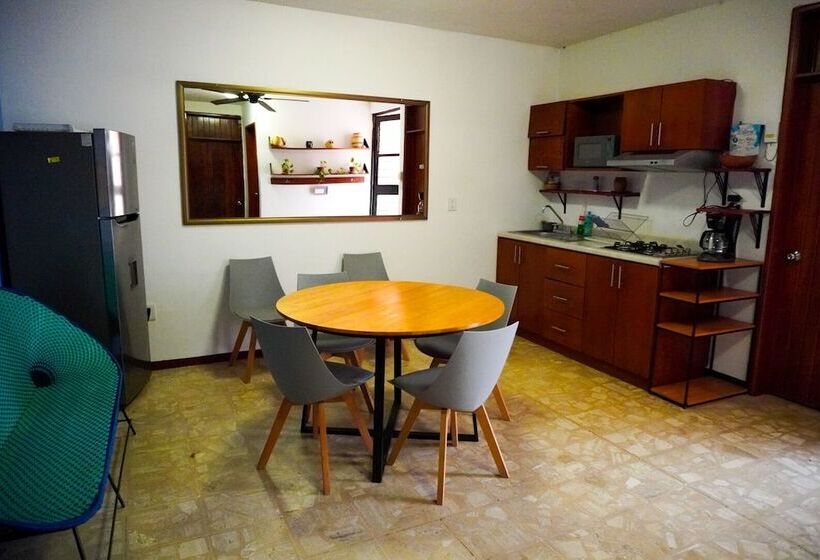 פנסיון Hostal Chocolate Calenda