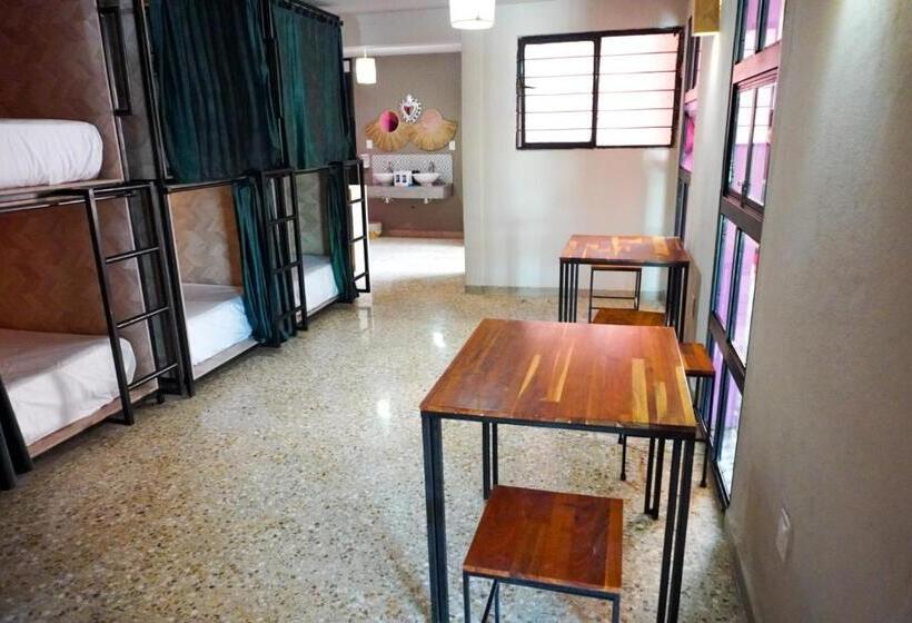 پانسیون Hostal Chocolate Calenda