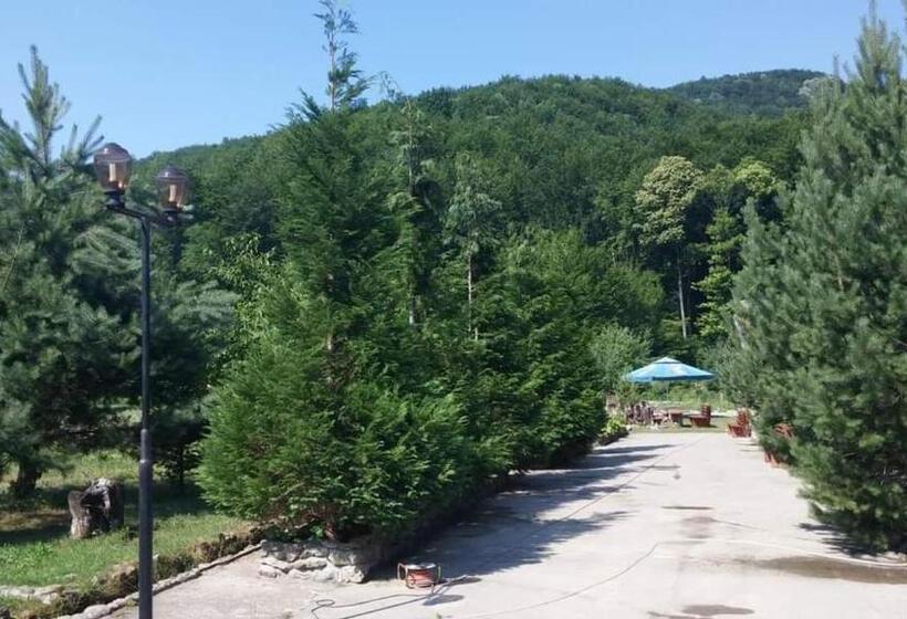 Restaurant Pensiune La Danila