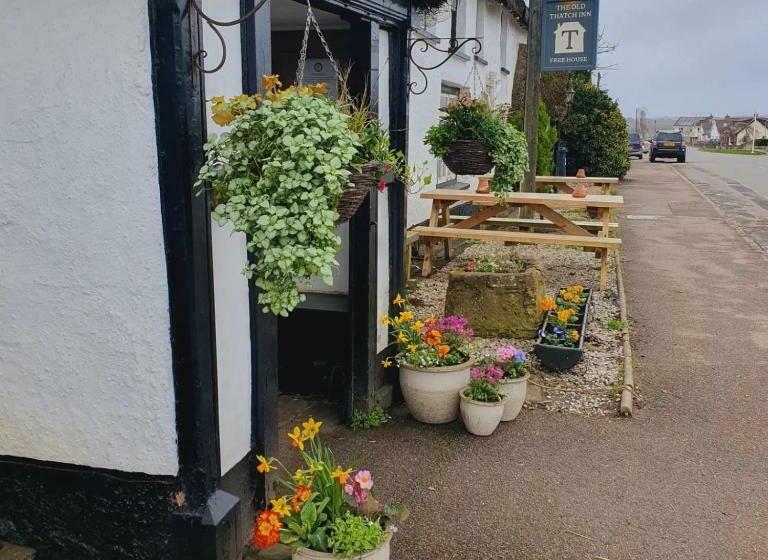 호스텔 The Old Thatch Inn