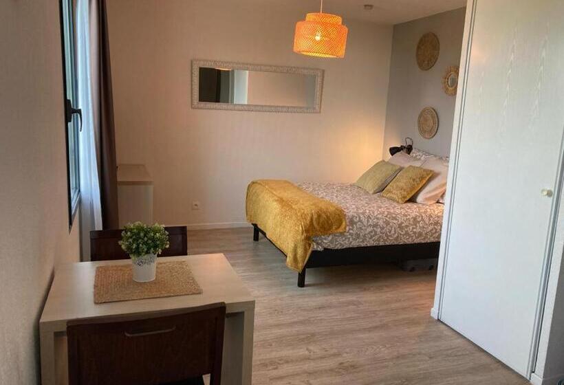 Appart Hotel Avignon Gare Tgv   Le Kaelis 407