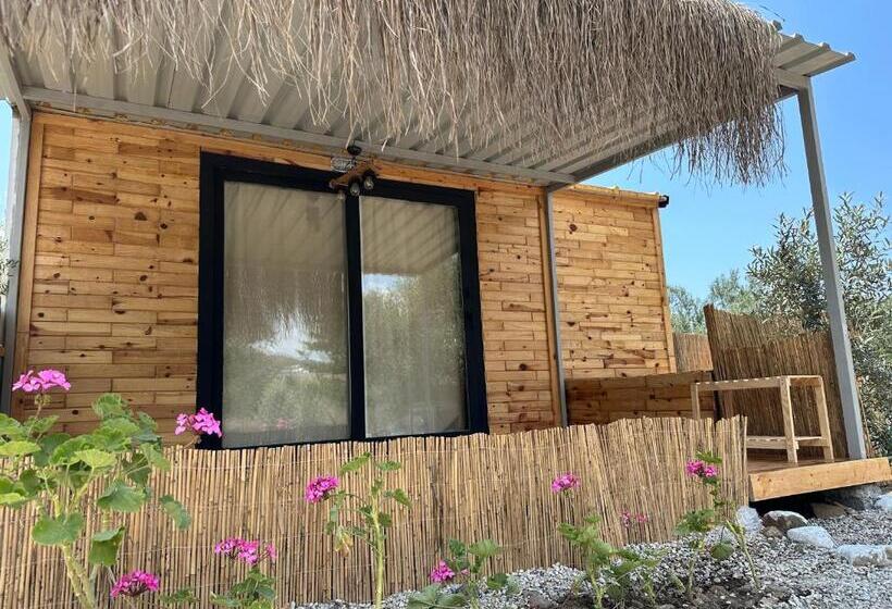 ベッドアンドブレックファースト Alpinia Houses&garden