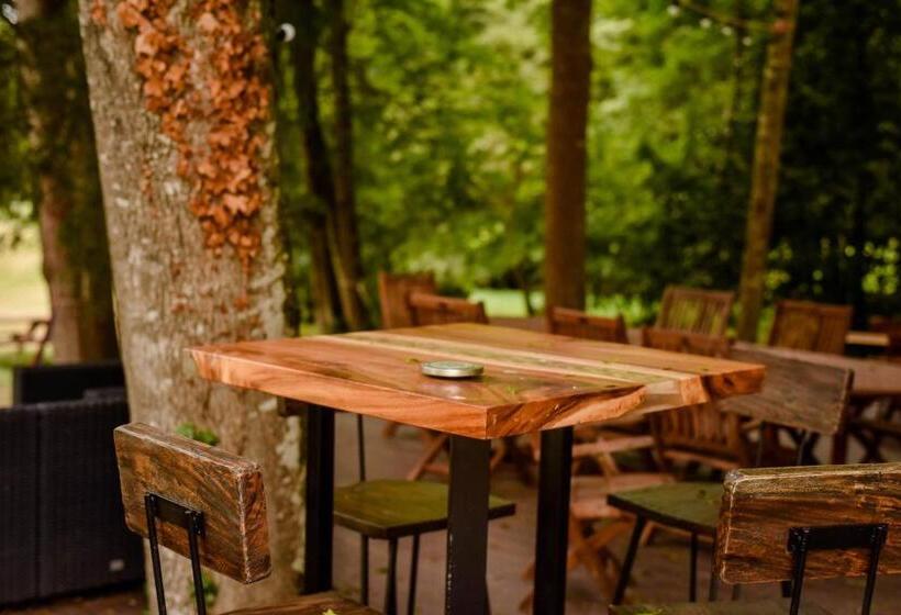 住宿加早餐  Chateau De Rhodes