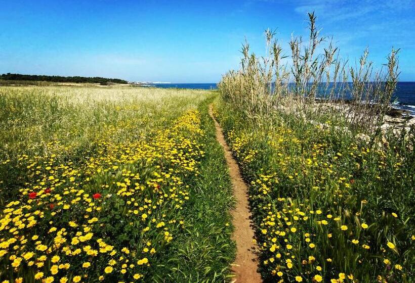 Bed and Breakfast Gilu