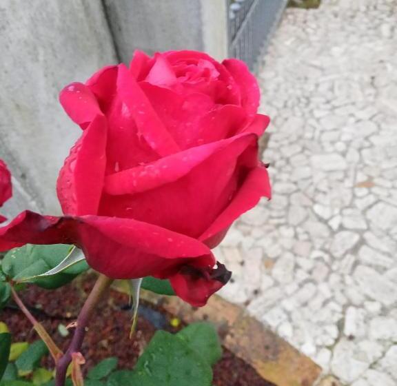 민박 La Casa Di Laura