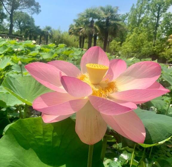 민박 La Casa Di Laura