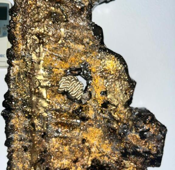 민박 La Casa Di Laura